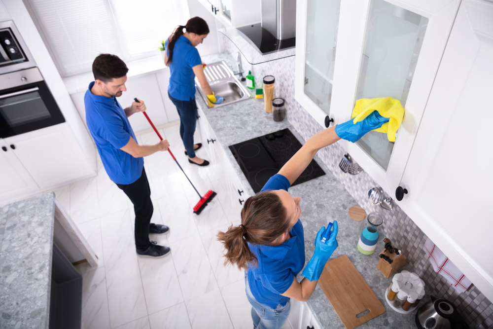 Professional Cleaning Services for Big Houses and Companies